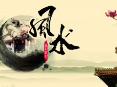 “在風(fēng)水學(xué)上，綠植到底怎么擺放？”